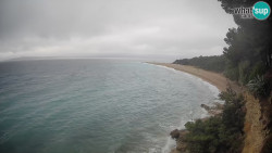 Zlatni rat
