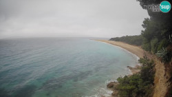 Zlatni rat