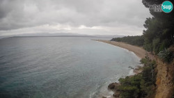 Zlatni rat