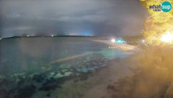 Zlatni rat