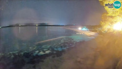 Zlatni rat