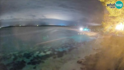Zlatni rat