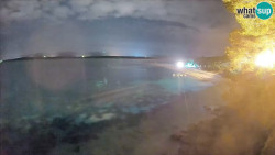Zlatni rat