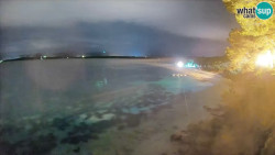 Zlatni rat