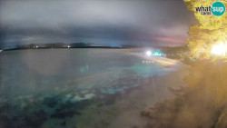 Zlatni rat