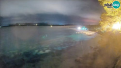Zlatni rat
