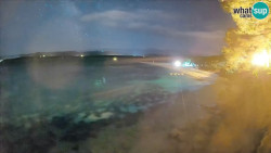 Zlatni rat