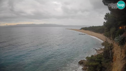 Zlatni rat