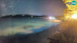Zlatni rat