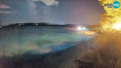 Zlatni rat