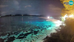 Zlatni rat