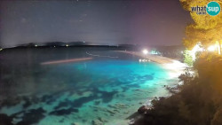 Zlatni rat