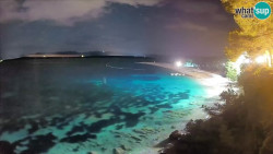 Zlatni rat