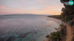 Zlatni rat