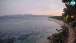 Zlatni rat