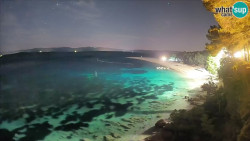Zlatni rat