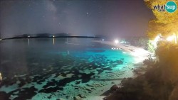Zlatni rat