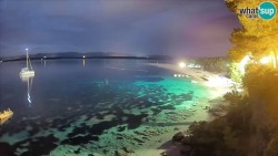 Zlatni rat
