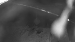 Jachtklub Máchova jezera - Máchovo jezioro, Borný, Bezděz - 22.9.2026 v 05:45 Jachtklub Máchova jezera - Máchovo jezioro, Borný, Bezděz - 22.9.2026 v 05:45