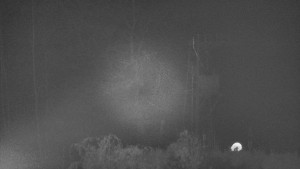 Skiareál Troják - Troják, Maruška - odpočivadlo HM52 - 15.11.2024 v 01:03 Skiareál Troják - Troják, Maruška - odpočivadlo HM52 - 15.11.2024 v 01:03