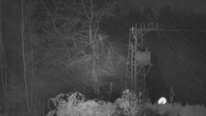 Skiareál Troják - Troják, Maruška - odpočivadlo HM52 - 15.11.2024 v 02:03 Skiareál Troják - Troják, Maruška - odpočivadlo HM52 - 15.11.2024 v 02:03