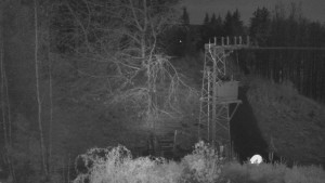 Skiareál Troják - Troják, Maruška - odpočivadlo HM52 - 15.11.2024 v 21:03 Skiareál Troják - Troják, Maruška - odpočivadlo HM52 - 15.11.2024 v 21:03