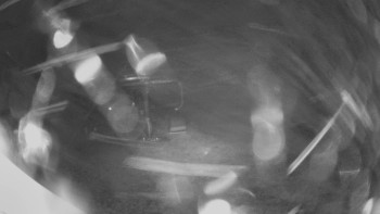Snímek    15.10.2025 v 06:30