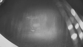 Snímek    12.11.2025 v 18:30