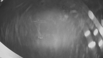 Snímek    12.11.2025 v 19:30