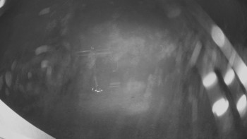 Snímek    12.11.2025 v 20:00