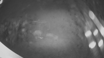 Snímek    12.11.2025 v 21:30