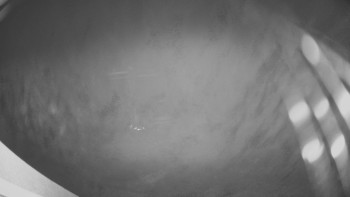 Snímek 13.11.2025 v 06:00