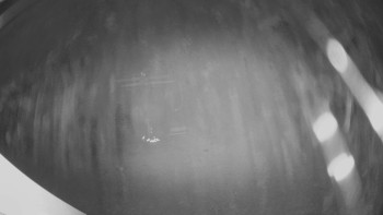 Snímek    13.11.2025 v 19:30