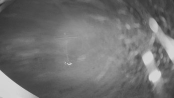 Snímek    14.11.2025 v 04:00