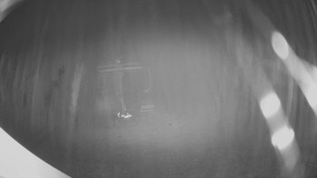 Snímek 14.11.2025 v 04:30