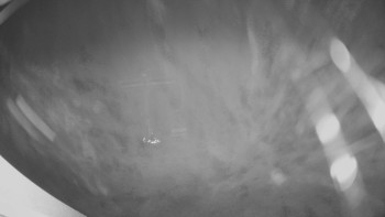 Snímek    14.11.2025 v 05:30