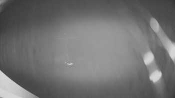 Snímek    14.11.2025 v 19:30