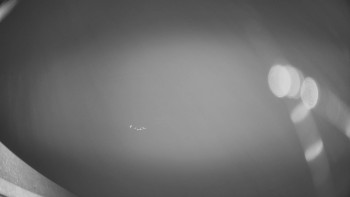 Snímek 15.11.2025 v 17:30