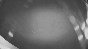 Snímek 16.11.2025 v 19:00