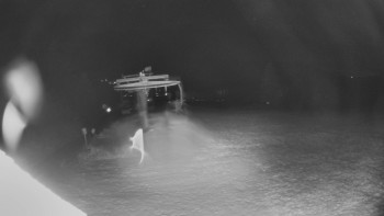 Snímek 18.11.2025 v 01:00