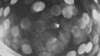 Snímek    21.11.2025 v 04:00