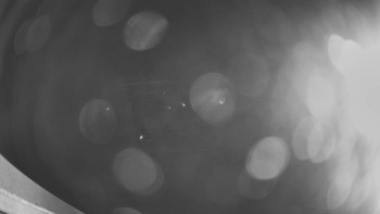 Snímek 21.11.2025 v 05:00