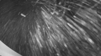 Snímek 21.11.2025 v 21:00