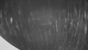 Horské atrakce Ramzová - Horní část sjezdovky Skiareálu Ramzová - 23.11.2025 v 00:30