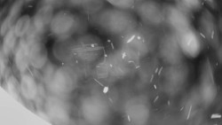 Horní část sjezdovky Skiareálu Ramzová