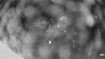 Horské atrakce Ramzová