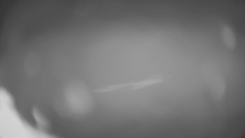 Horské atrakce Ramzová