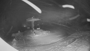 Horské atrakce Ramzová - Horní část sjezdovky Skiareálu Ramzová - 10.2.2026 v 00:30