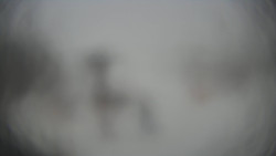 Horní část sjezdovky Skiareálu Ramzová