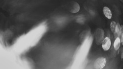 Horní část sjezdovky Skiareálu Ramzová